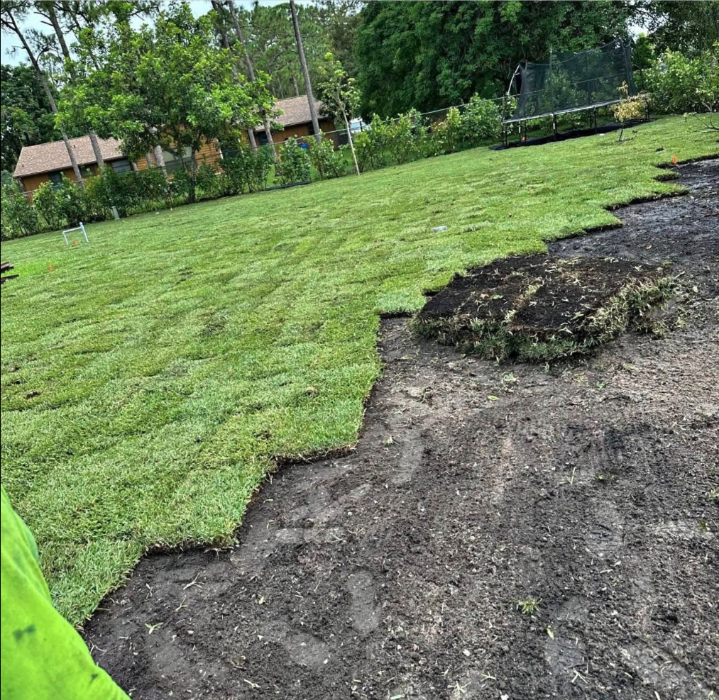Fresh sod installation by R & M Professional Services